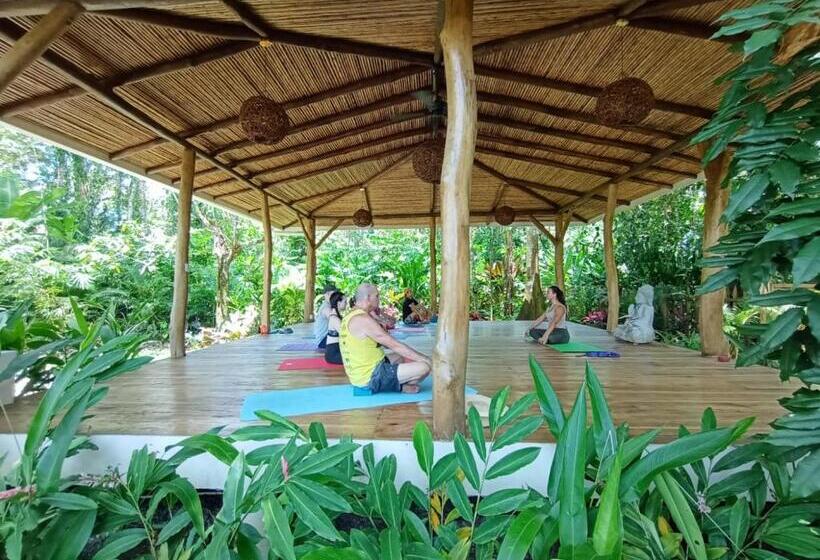 リゾートホテル Dragonfly Beachfront Villas Adult Only