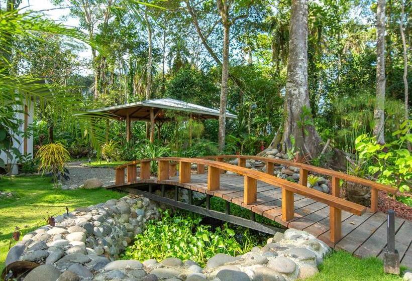 リゾートホテル Dragonfly Beachfront Villas Adult Only