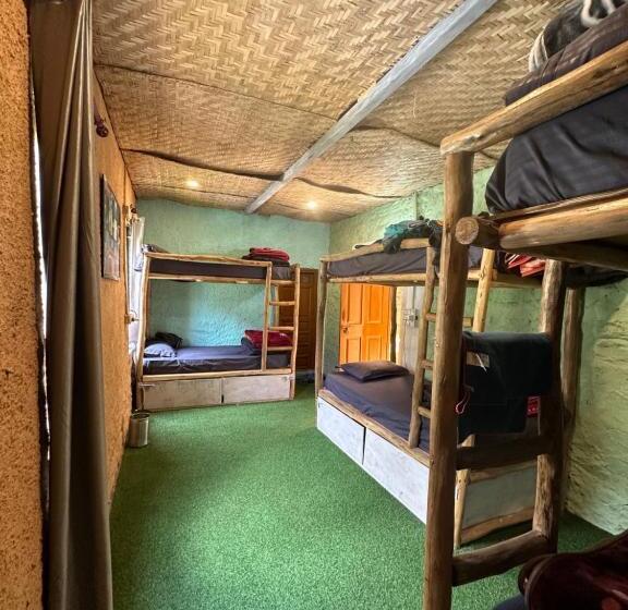 هاستل Circle Square