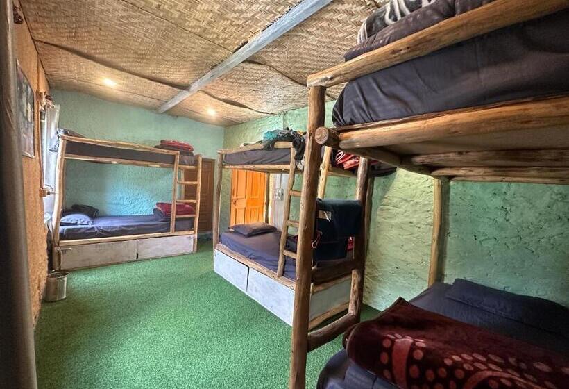 هاستل Circle Square