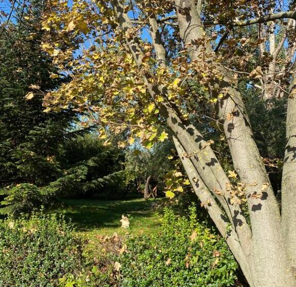 مبيت وإفطار A Fogadó