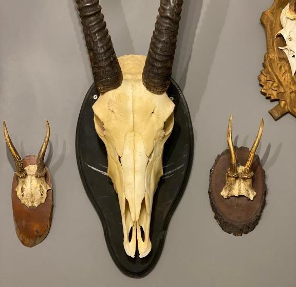 مبيت وإفطار A Fogadó