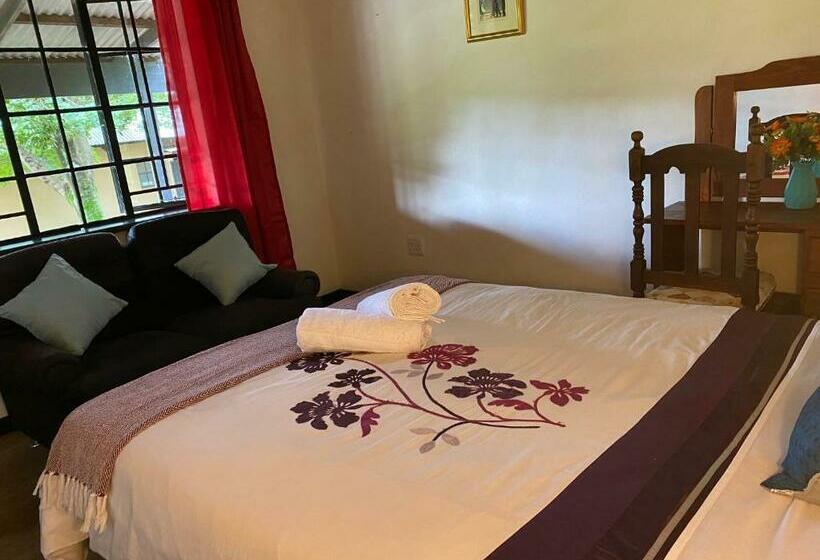 ベッドアンドブレックファースト Kwa Mbandeni Farm Lodge