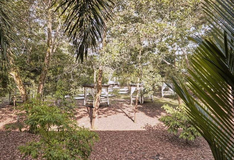 El Bosque Hotel Boutique