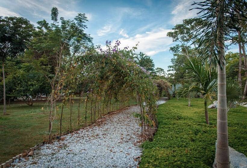 El Bosque Hotel Boutique