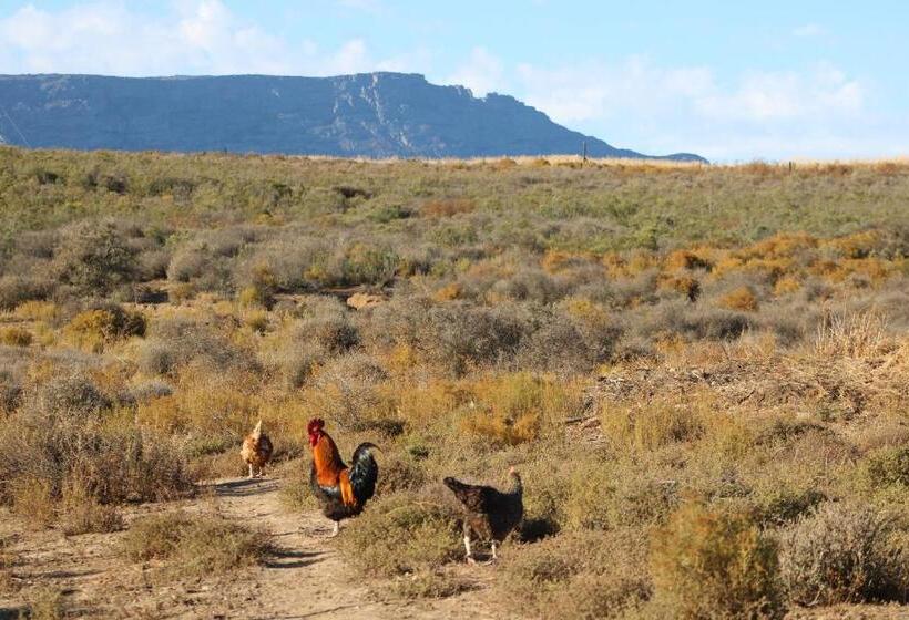 בית מלון כפרי Alchemy Retreat   Entire Karoo Guest Farm   Barrydale