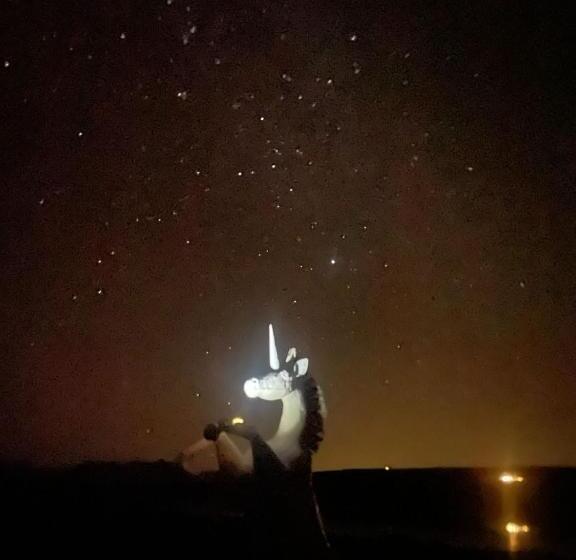 هتل Alchemy Retreat Entire Karoo Guest Farm Barrydale