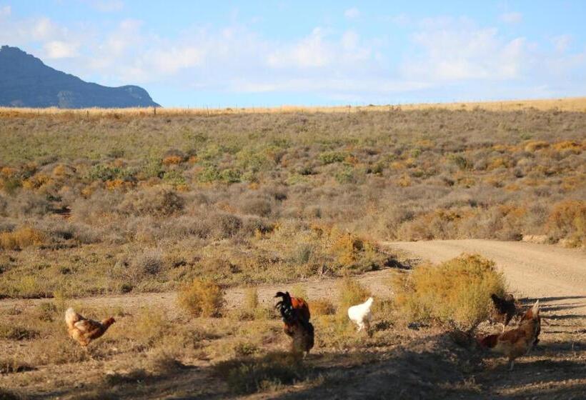 هتل Alchemy Retreat Entire Karoo Guest Farm Barrydale