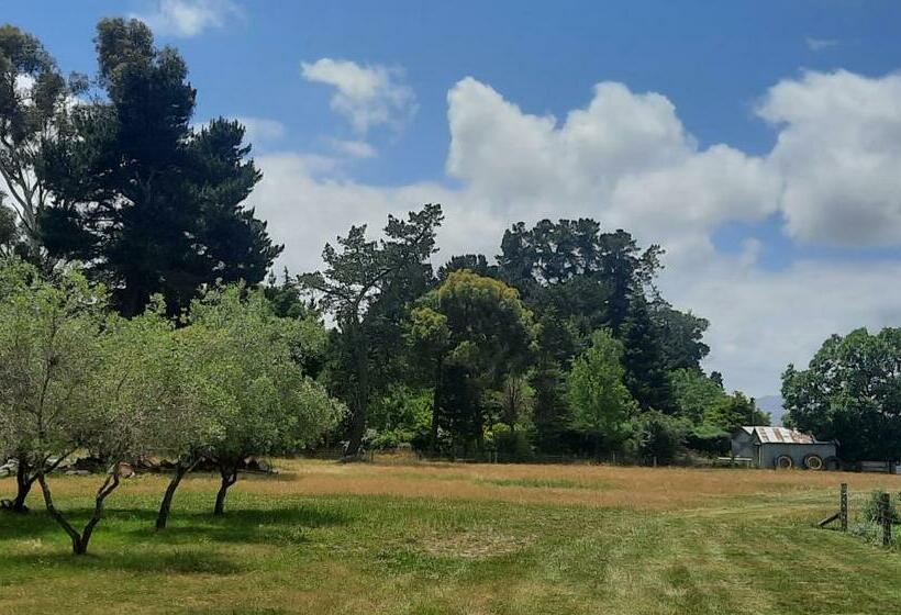 캡슐 호텔 The Morgans