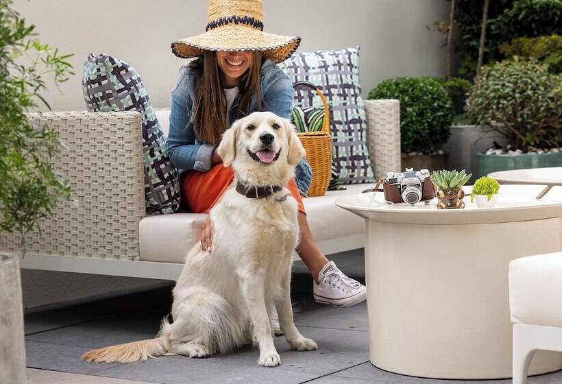 בית מלון כפרי L Avenue