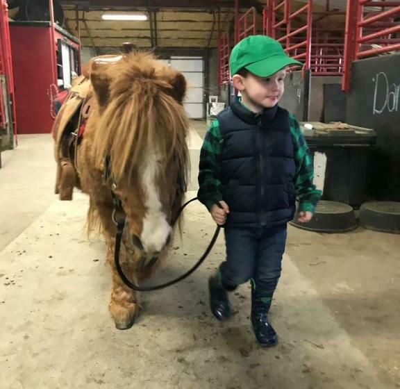 호텔 Red Roof Stable And Farm Llc