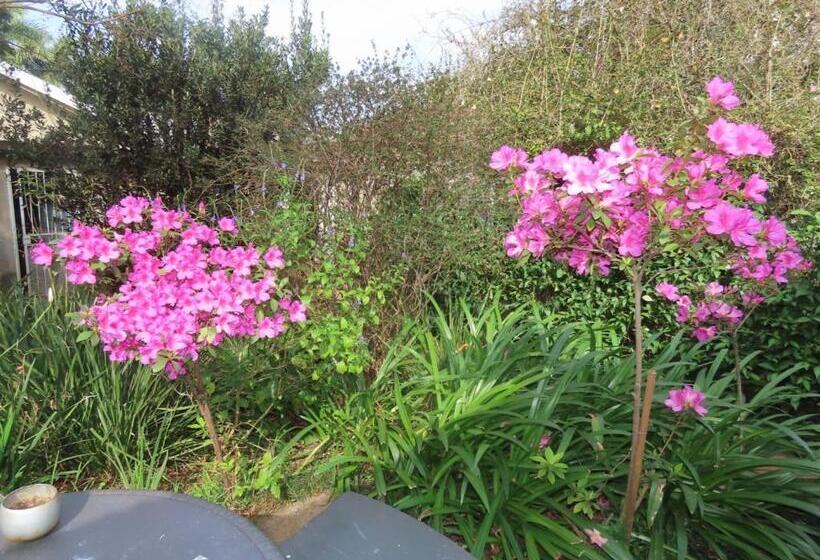 פנסיון Blue Bell Guesthouse