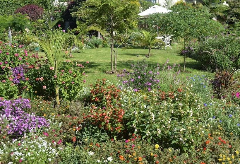 پانسیون Serenity Ocean Lodge