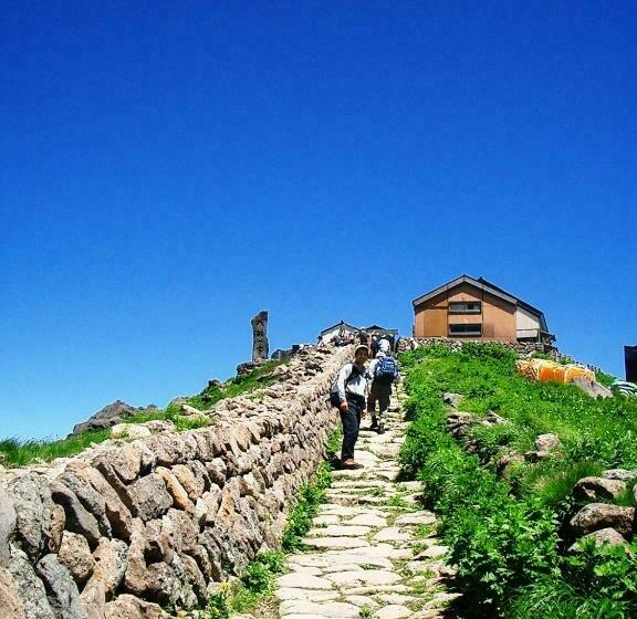 ריוקאן Tsutaya