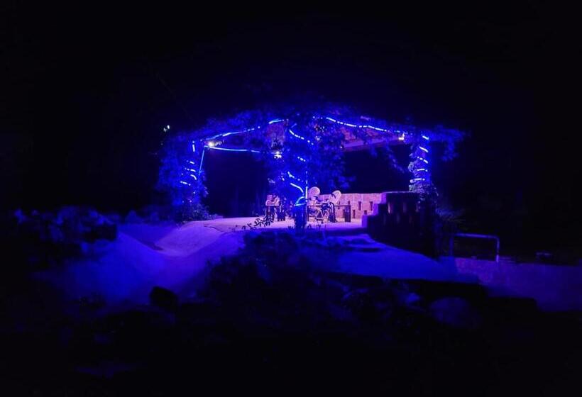 The Dandelion   Colonels Jungle Resort