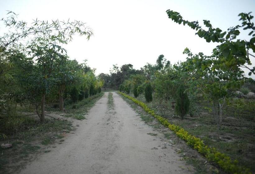 The Palash Vann Resort Madhya Pradesh