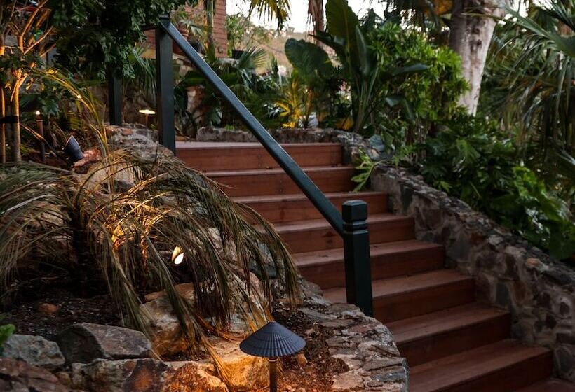 The Pink Palm Hotel   Adults Only