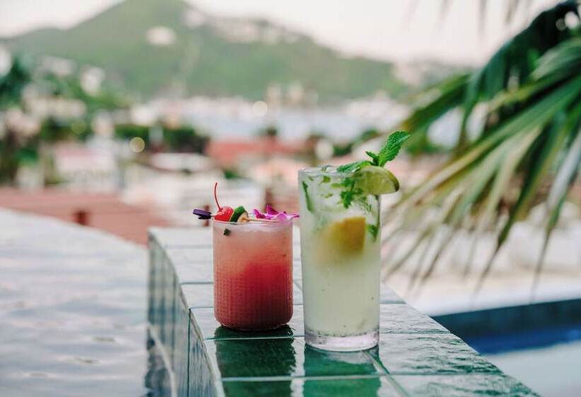 The Pink Palm Hotel   Adults Only