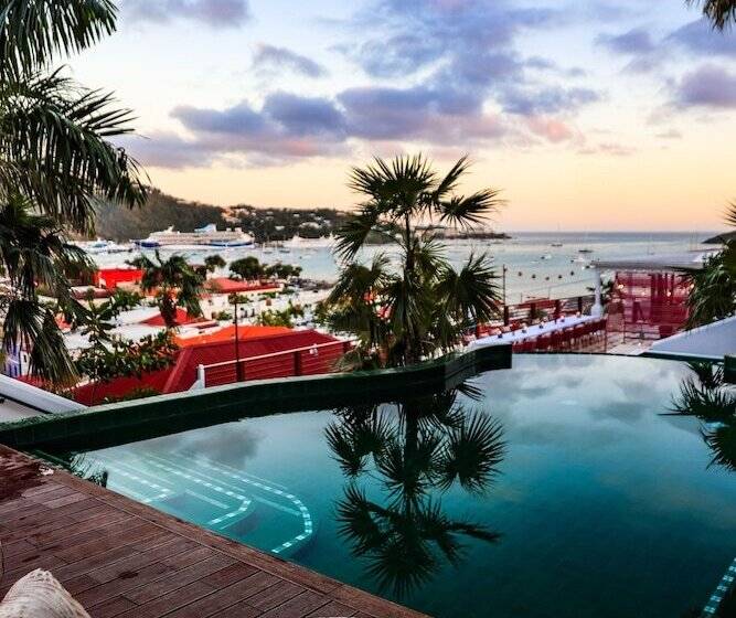 The Pink Palm Hotel   Adults Only