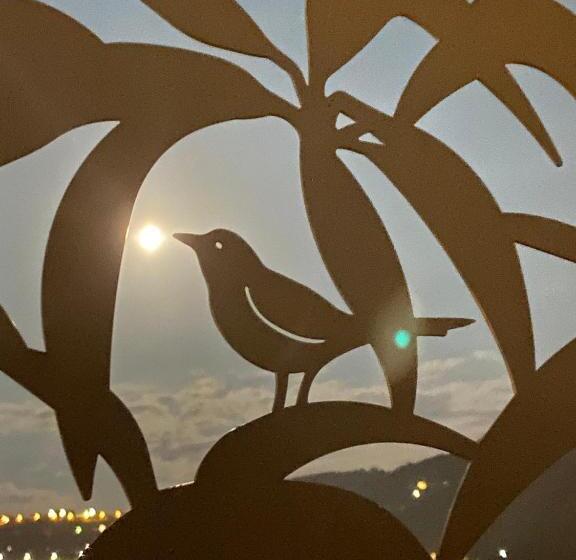 The Rooftop Terrace B&b