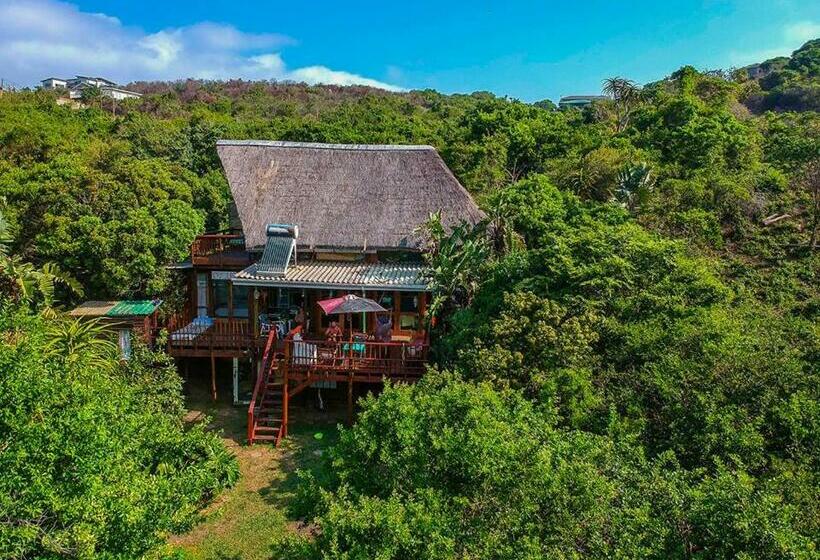 فندق صغير In The Green Backpackers