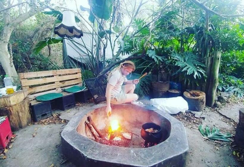 فندق صغير In The Green Backpackers