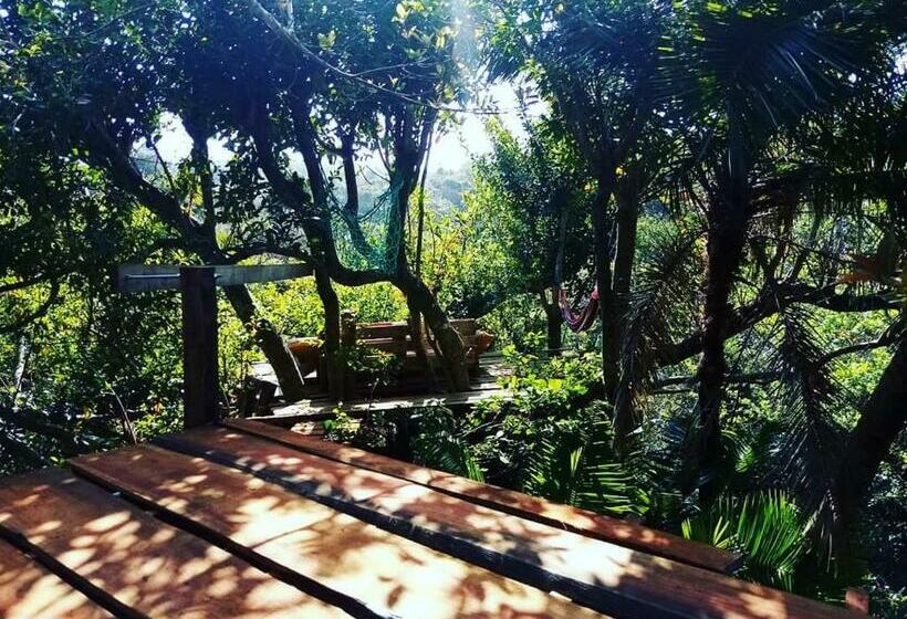 فندق صغير In The Green Backpackers