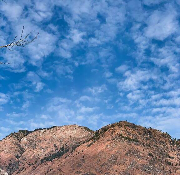 호스텔 The Nook 1968 Sainj