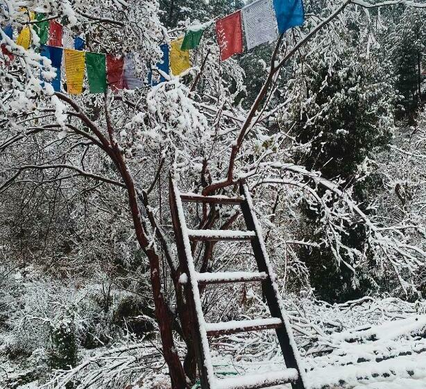 호스텔 The Nook 1968 Sainj