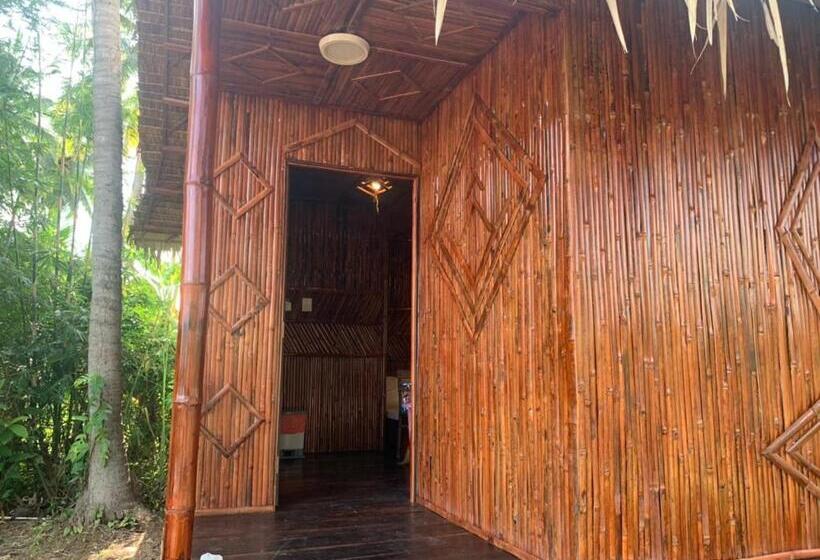 تختخواب و صبحانه Bungalow   Homestay Làng Bè