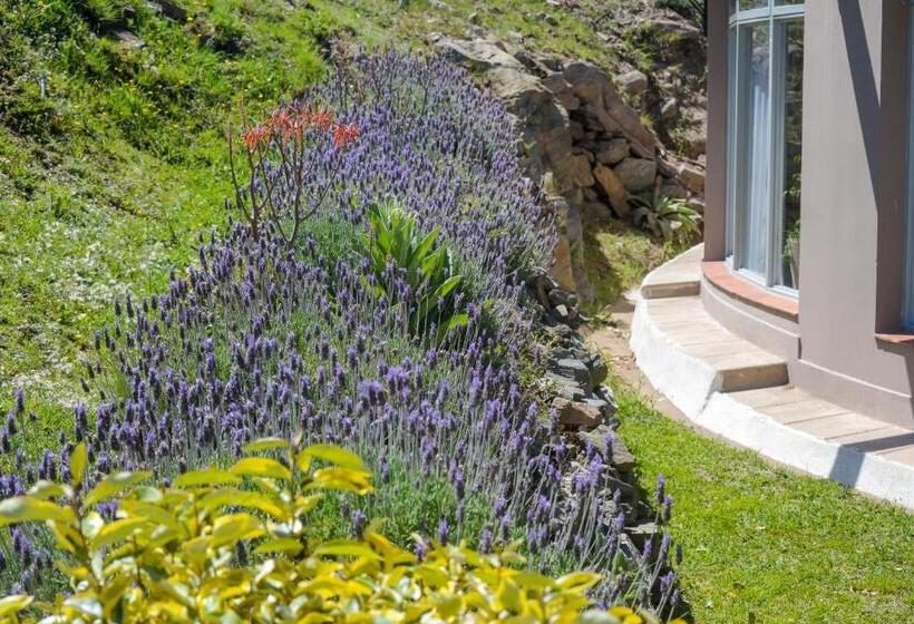 فندق La Huertita