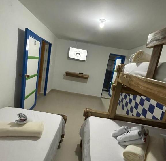 Отель Nativo Hostel Venecia