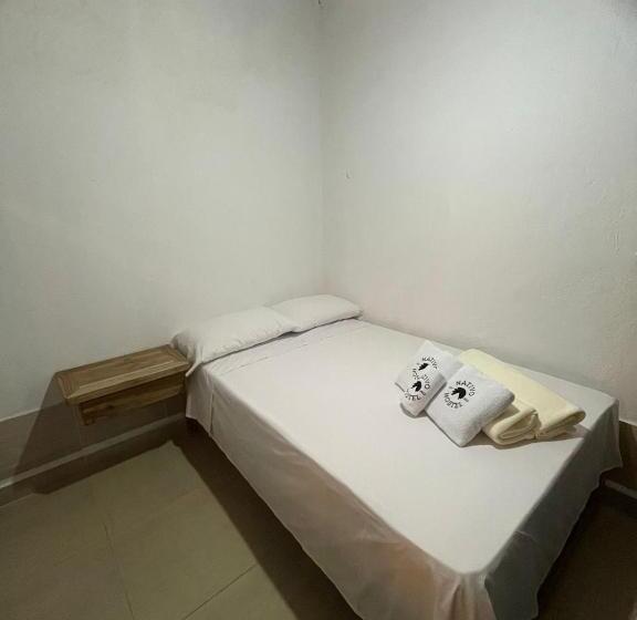 Отель Nativo Hostel Venecia