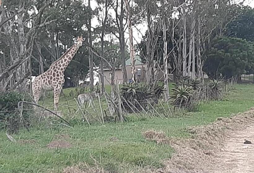 ホテル Ngwenkala Game Lodge And Safaris