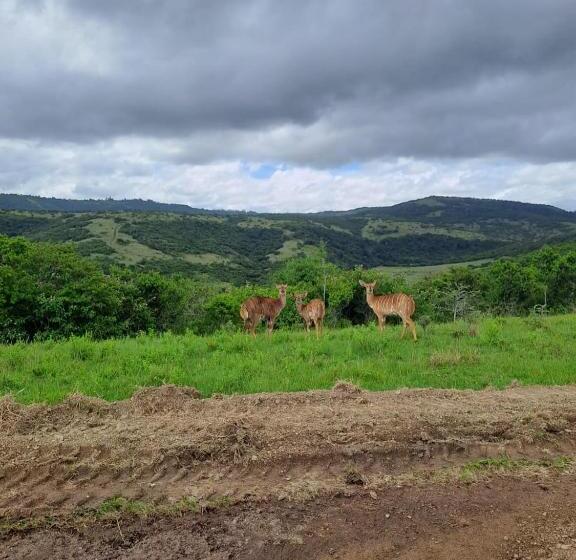 ホテル Ngwenkala Game Lodge And Safaris