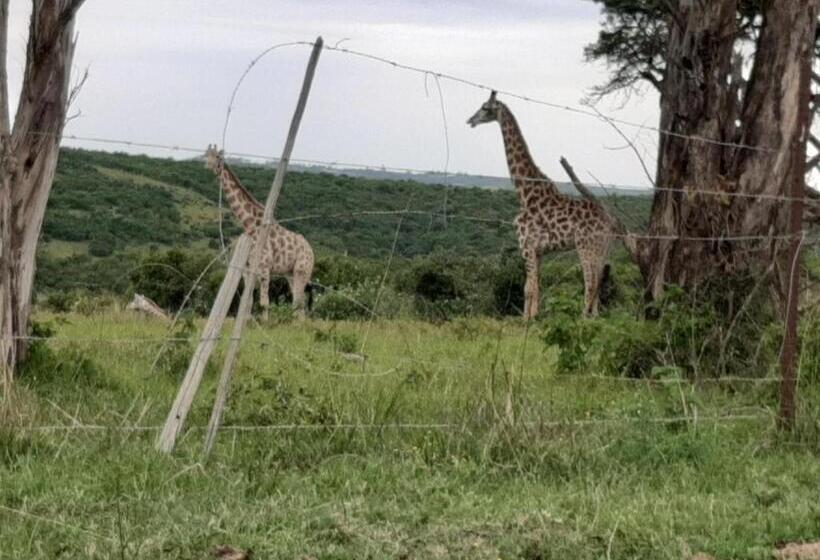 ホテル Ngwenkala Game Lodge And Safaris