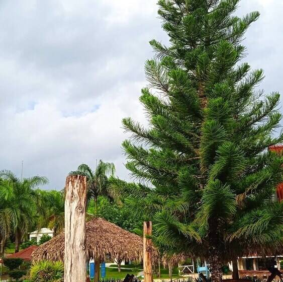 בית מלון כפרי Serapius Green