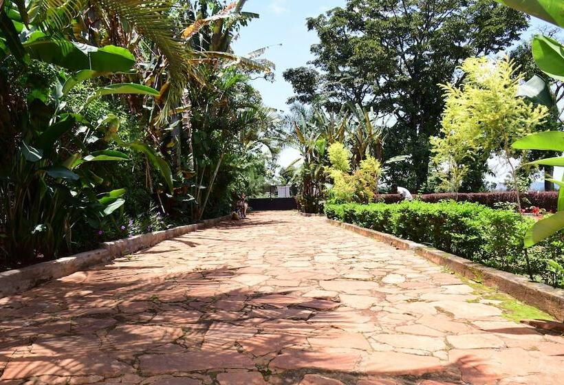 پانسیون Golden Cherries Guest House