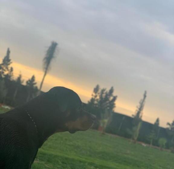 پانسیون Jnane Nina