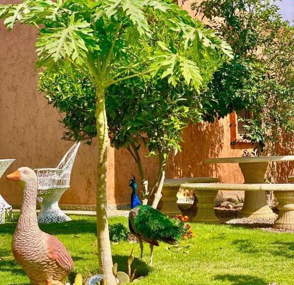 پانسیون Jnane Nina