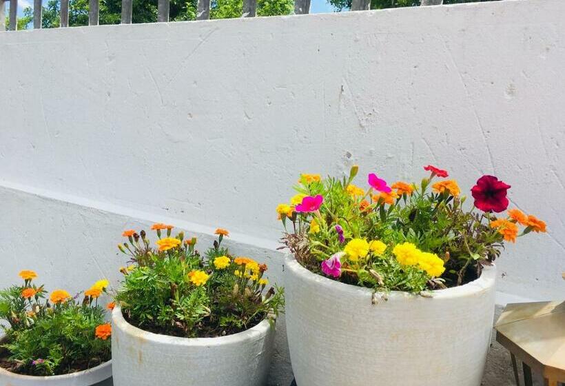 פנסיון Skills Tree 58 Pty Ltd