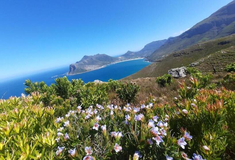 بنسيون Vyn Guest House Hout Bay