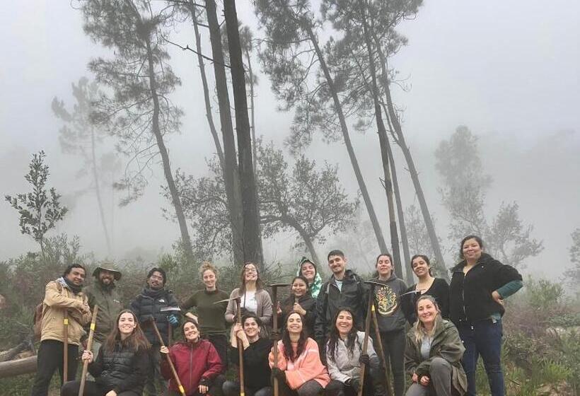 Общежитие Impact Beach House