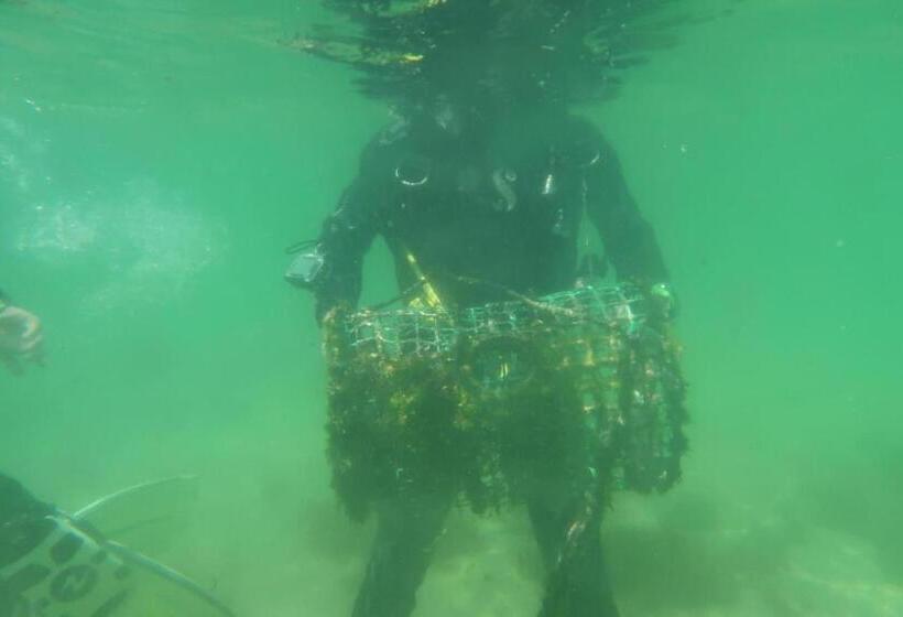 Общежитие Impact Beach House