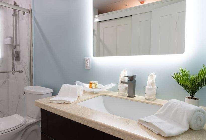 호스텔 The New View Inn