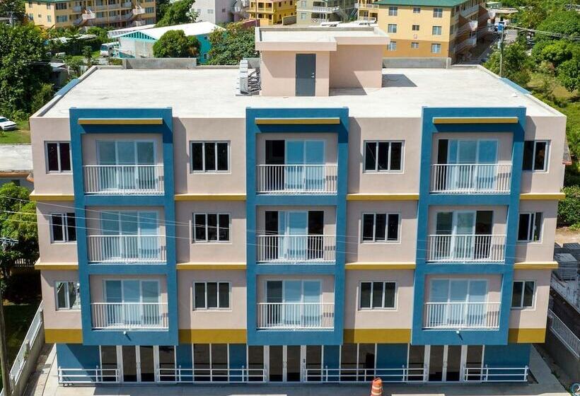 호스텔 The New View Inn