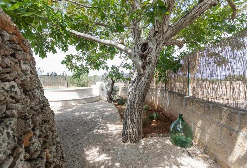 Federico Holidays   Bed & Breakfast Con Piscina