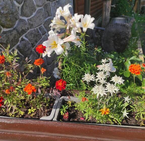 تختخواب و صبحانه Smučarska Koča