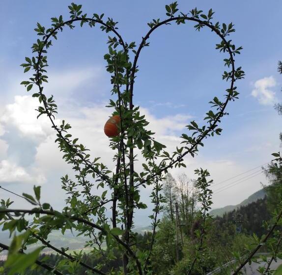 تختخواب و صبحانه Smučarska Koča
