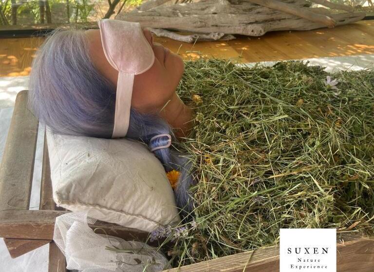 Bed and Breakfast Suxen Nature Experience   Lodge Con Vista Panoramica